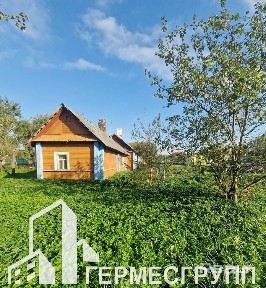 Дом с большим участком в черте Лиды! д. Новоселки