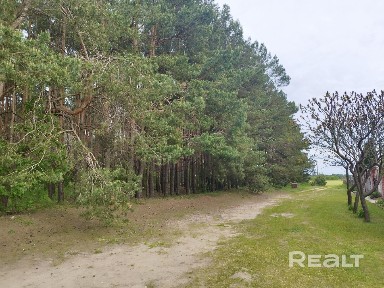 Брестская область, Брестский р-н, д. Вулька-Заставская