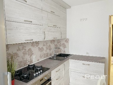 Однокомнатная квартира, Карбышева ул. - 250548