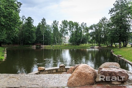 Чистый воздух и тишина. Лес и озеро за Вашим окном