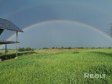 Витебская область, Бешенковичский р-н, д. Пушкари