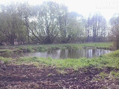 Снять дом на длительный срок, д. Лахва (Лунинецкий р-н, Брестская область)