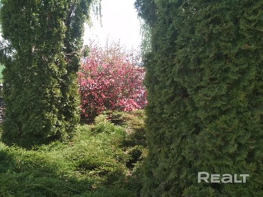 Купить дом, г. Кобрин