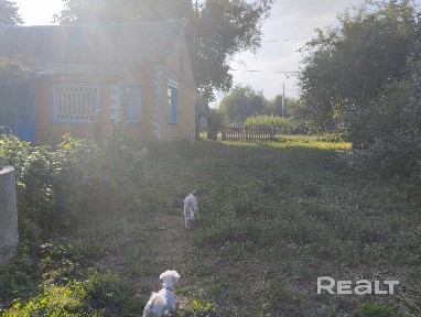 Купить дом, д. Стахово, ул. Советская, 134 (Столинский р-н, Брестская область)