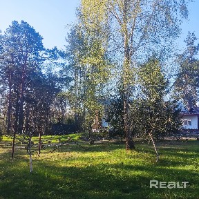 Снять дом на длительный срок, д. Тумановка, 13 (Могилевский р-н, Могилевская область)