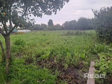 Продается жилой дом рядом с Осиповичским водохранилищем (100 метров).