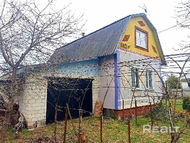 Гомельская область, Гомельский р-н, д. Новые Терешковичи, ул. Центральная, 61