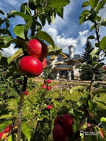 Могилевская область, Могилевский р-н, д. Николаевка 2, ул. Криничная