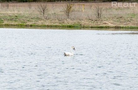 Купить дом, д. Байбы, 71 (Сморгонский р-н, Гродненская область)