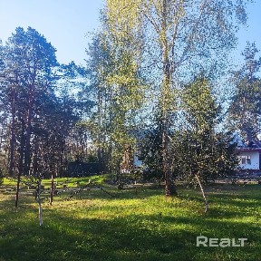 Снять дом на длительный срок, д. Тумановка, 13 (Могилевский р-н, Могилевская область)
