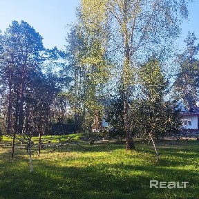 Снять дом на длительный срок, д. Тумановка, 13 (Могилевский р-н, Могилевская область)