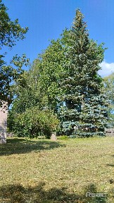 Купить дом, д. Янковичи, ул. Центральная, 16 (Россонский р-н, Витебская область)