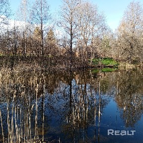 Уникальная усадьба на берегу рек Друйка в Национальном парке