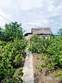 Купить дом, с/т Особино, 63 (Буда-Кошелевский р-н, Гомельская область)