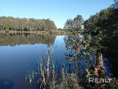 Снять коттедж на длительный срок, г. п. Плещеницы, Озёрная (Логойский р-н, Минская область)