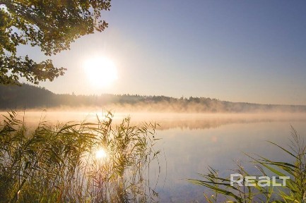 Минская область, Мядельский р-н, д. Грумбиненты