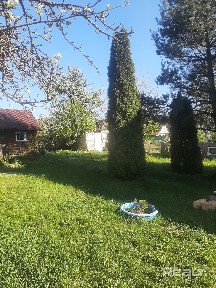 Снять дачу на длительный срок, с/т АВТОТРАНСПОРТНИК, 30 (Дзержинский р-н, Минская область)
