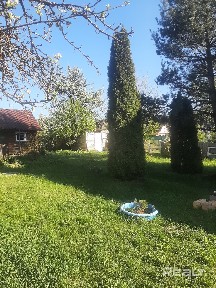 Снять дачу на длительный срок, с/т АВТОТРАНСПОРТНИК, 30 (Дзержинский р-н, Минская область)