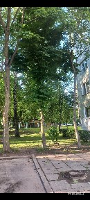 Купить 1-комнатную квартиру, г. Витебск, ул. Чкалова, 36/1