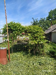 Купить дом, д. Новая Лысица, 65 (Несвижский р-н, Минская область)