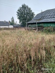 Продается жилой дом, д. Борок (17км от Бобруйска)