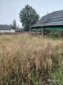 Продается жилой дом, д. Борок (17км от Бобруйска)