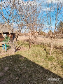 Дом в Беловежской пуще, аг. Каменюки. Код 26046