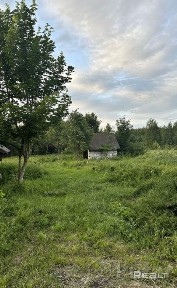 Купить дом, д. Млынок, ул. Лесная, 11 (Барановичский р-н, Брестская область)