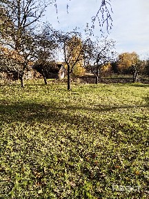Купить дом, д. Гусак, ул. Карпа Фомича, 6 (Малоритский р-н, Брестская область)