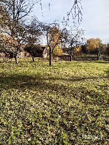 Брестская область, Малоритский р-н, д. Гусак, ул. Карпа Фомича, 6