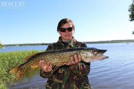 Снять коттедж на сутки, г. п. Свирь, ул. Набережная, 52 (Мядельский р-н, Минская область)